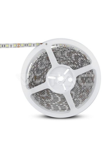 Led RGB+C 6000K SMD5050 IP65 14w/m 24V