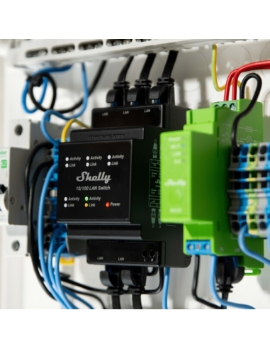 Shelly Lan Switch