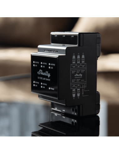 Shelly Lan Switch