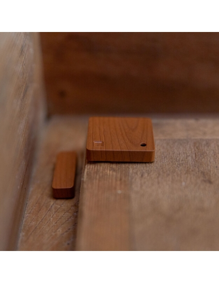 Shelly BLU Door/Window