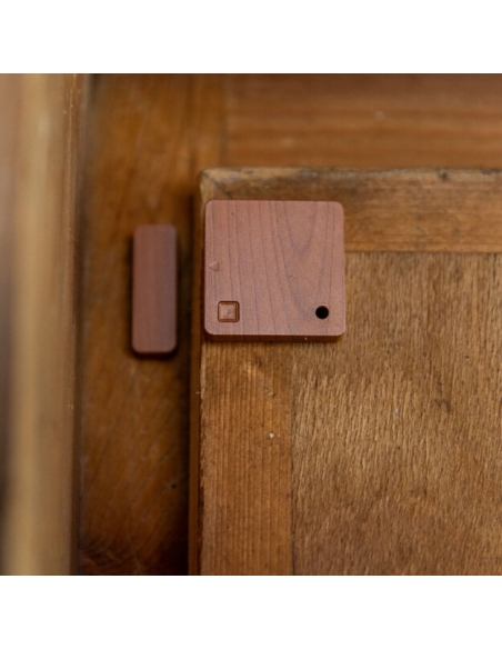 Shelly BLU Door/Window