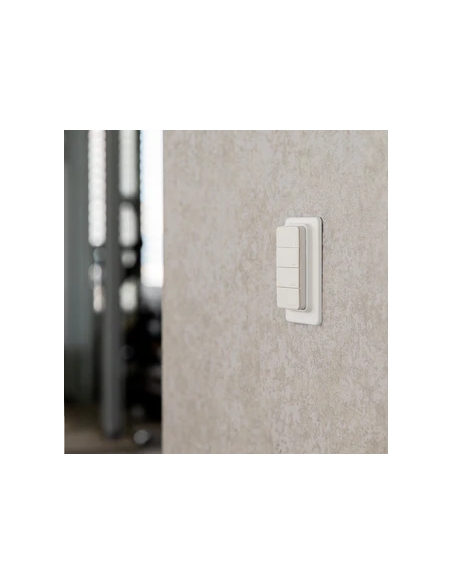 Shelly BLU RC Button 4